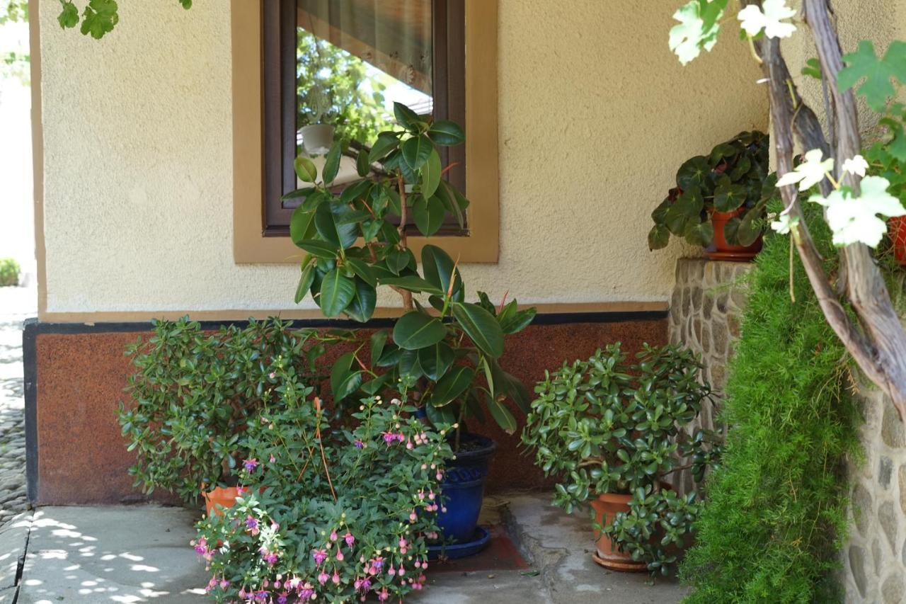 Casa Ciortea Ana Sibiel Exteriér fotografie