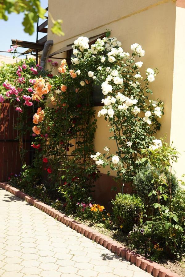 Casa Ciortea Ana Sibiel Exteriér fotografie